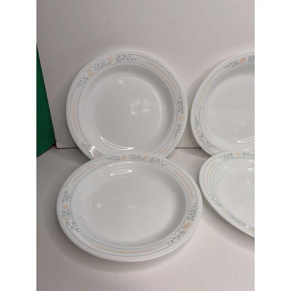Corelle Apricot Grove Set of 4 Flat Rimmed Shallow Soup Salad Pasta Bowls 8.5
